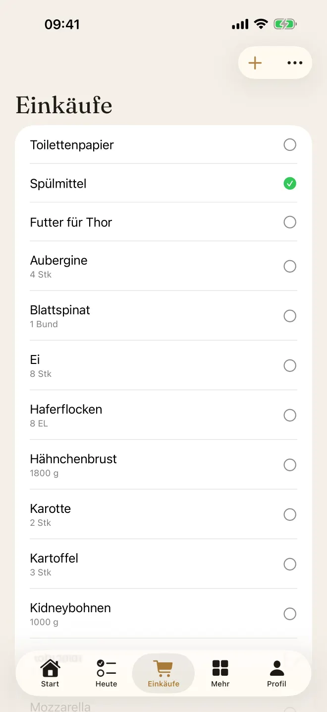 Einkaufsliste mit abgehakten Artikeln