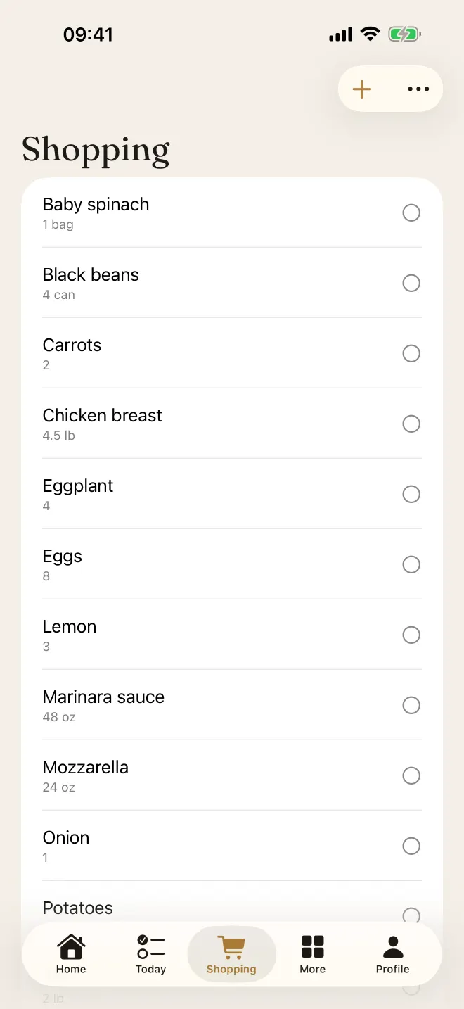 Shopping list with checked items