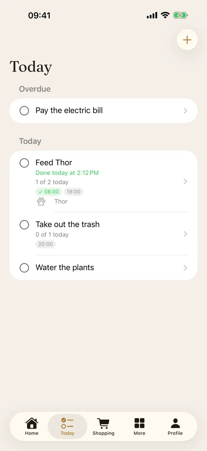Today screen of the app on iPhone, with the day's chores and their times